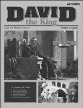 Extra David the King Lesson Guide