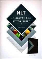 NLT Illustrated Study Bible--soft leather-look, teal/chocolate