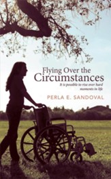 Flying Over the Circumstances: It is possible to rise over hard moments in life - eBook
