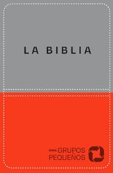 Biblia para grupos pequeños NBV lujo (Bible for Small Groups NBV Deluxe)