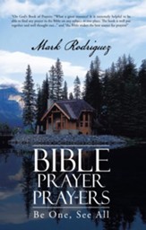 Bible Prayer Pray-ers: Be One, See All - eBook