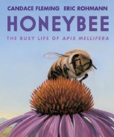 Honeybee: A Day in the Life of Apis  Mellifera