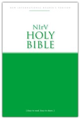 NIrV Economy Bible, Tradepaper  - Slightly Imperfect