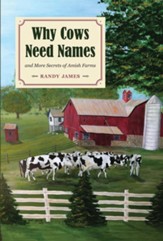 Why Cows Need Names: And More Secrets of Amish Farms - eBook