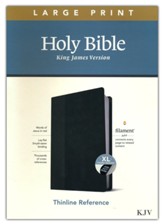 KJV Large-Print Thinline Reference  Bible, Filament Enabled Edition--soft leather-look, black/onyx (indexed)