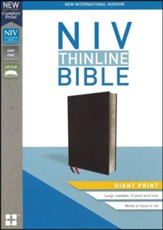 NIV Thinline Bible Giant Print Black Bonded Leather
