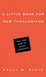 A Little Book for New Theologians: Why and How to Study Theology - eBook