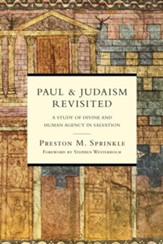 Paul and Judaism Revisited: A Study of Divine and Human Agency in Salvation - eBook