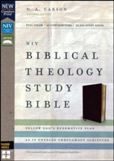 NIV Comfort Print Biblical Theology Study Bible, Bonded Leather, Burgundy, Indexed