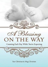 A Blessing On The Way: Counting Each Day While You're Expecting - eBook