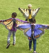 Monarch Butterfly Wings