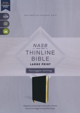 NASB Thinline Bible Passaggio Setting, Comfort Print--soft leather-look, black