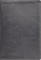 ESV Thompson Chain-Reference  Bible--soft leather-look, gray (indexed)