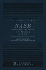 NASB Thinline Bible, Premier Collection--premium goatskin leather, brown