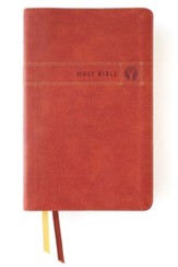 NIV Men's Devotional Bible, Comfort  Print--soft leather-look, brown
