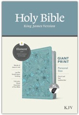 KJV Personal-Size Giant-Print Bible, Filament Enabled Edition--soft leather-look, teal (indexed)