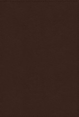 NRSVue, Holy Bible with Apocrypha,  Leathersoft, Brown, Comfort Print