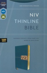 NIV Thinline Bible, Comfort Print--soft leather-look, teal (indexed)