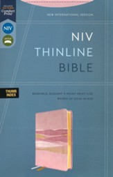 NIV Thinline Bible, Comfort Print--soft leather-look, pink (indexed)