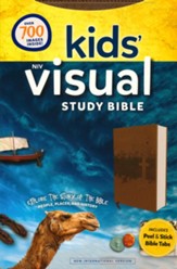 NIV Kids' Visual Study Bible: Explore the Story of the Bible--soft leather-look, bronze