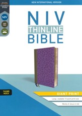 NIV Giant-Print Thinline Bible, Comfort Print--soft leather-look, gray/purple (indexed)