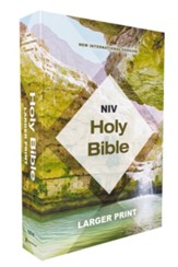 NIV Holy Bible Economy Edition, Larger Print, --softcover, tan & teal