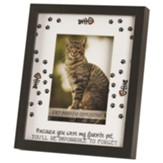 Because You Were My Favorite Pet, Cat, Photo Frame