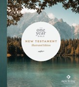 NLT One Year Bible New Testament--soft cover, lakeside heaven