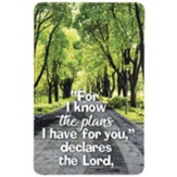 For I Know The Plans Pocket card