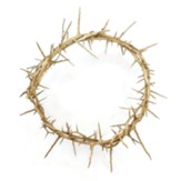 Crown of Thorns, 9 diameter, Jerusalem