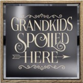 Grandkids Spoiled Here Light Up Sign