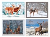 Deer in Winter Christmas Cards, Box of 12