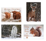 Winter Wildlife Christmas Cards, Box of 12 (KJV)