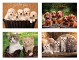 Birthday Furry Wishes , Box of 12 cards