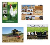 On the Farm Birthday Cards, Box of 12 (KJV)