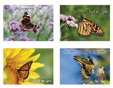 Butterflies Encouragement Cards, Box of 12 (KJV)