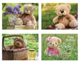 Teddy Bears Birthday Cards, Box of 12 (KJV)