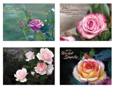 Roses Sympathy Cards, Box of 12 (KJV)