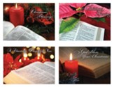 Bible and Poinsetta Christmas Cards, Box of 12 (KJV)