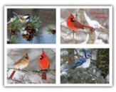 Winter Birds Christmas Cards, Box of 12 (KJV)