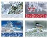 Seasons of Joy Christmas Cards, Box of 12 (KJV)