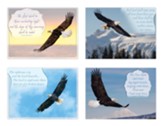 Eagles, Sympathy Cards, Box of 12