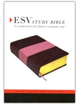 ESV Study Bible TruTone Chocolate/Rose
