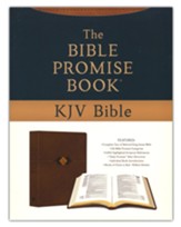 The Bible Promise Book KJV Bible [Hickory Diamond], Leather, imitation