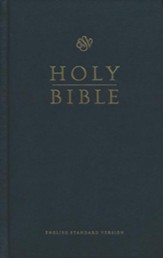 ESV Pew Bible, Black - Slightly  Imperfect