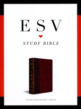 ESV Study Bible, TruTone Imitation Leather, Burgundy/Red with Timeless Design - Imperfectly Imprinted Bibles