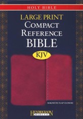 KJV Large Print Compact Reference  Bible with Flap Flexisoft Berry