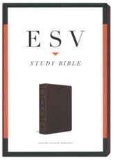 ESV Study Bible, Burgundy Genuine Leather with Thumb Index - Imperfectly Imprinted Bibles