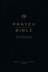 ESV Prayer Bible--soft leather-look, brown
