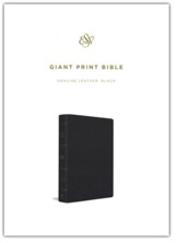 ESV Giant-Print Bible--genuine leather, black